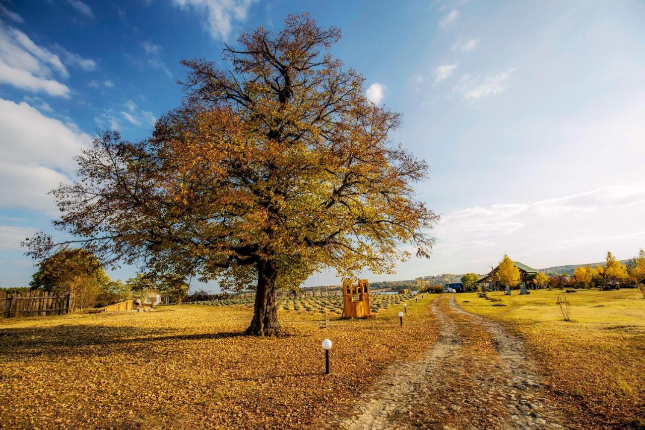 Country House Domik V Derevne Markovtsy  外观 照片