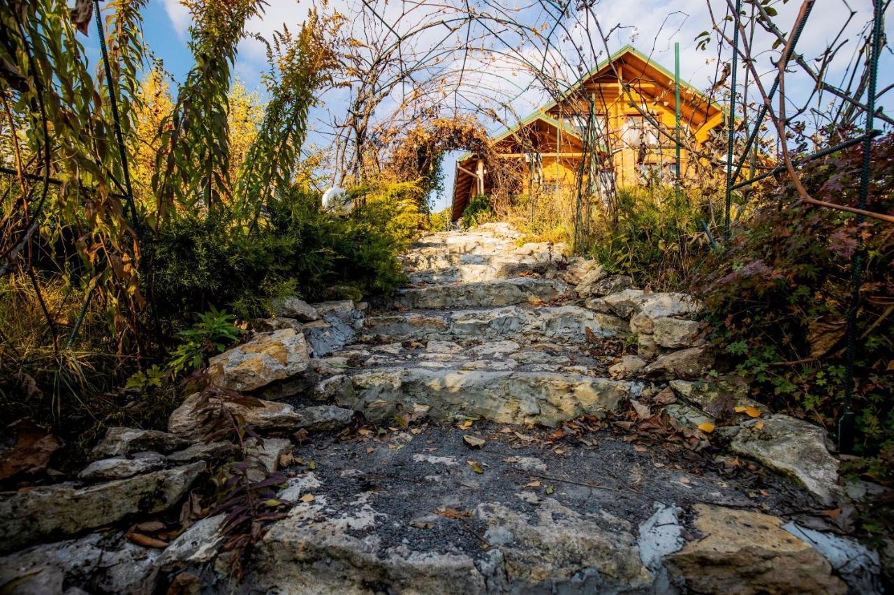 Country House Domik V Derevne Markovtsy  外观 照片